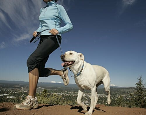 Extend Pet Joint Care For Happy Healthy Dogs