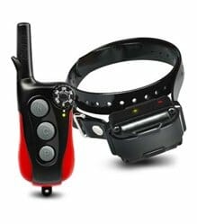 Dogtra IQ-Plus Remote Trainer