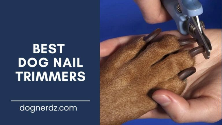 review of the best dog nail trimmers
