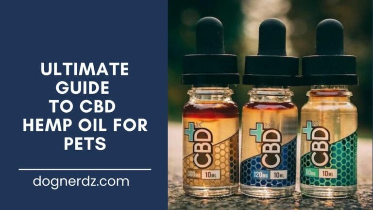 ultimate guide to cbd hemp oil for pets