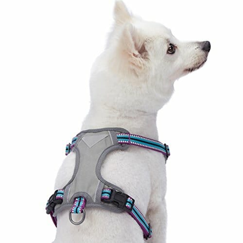 buyers guide for dog harness