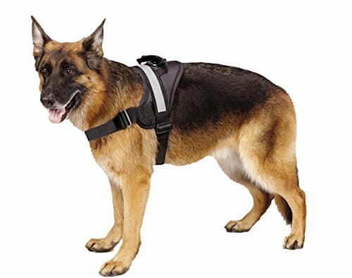 EXPAWLORER reflective harness for big dogs