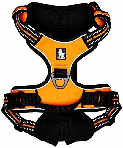 Chai's Choice no-pull harness for dogs