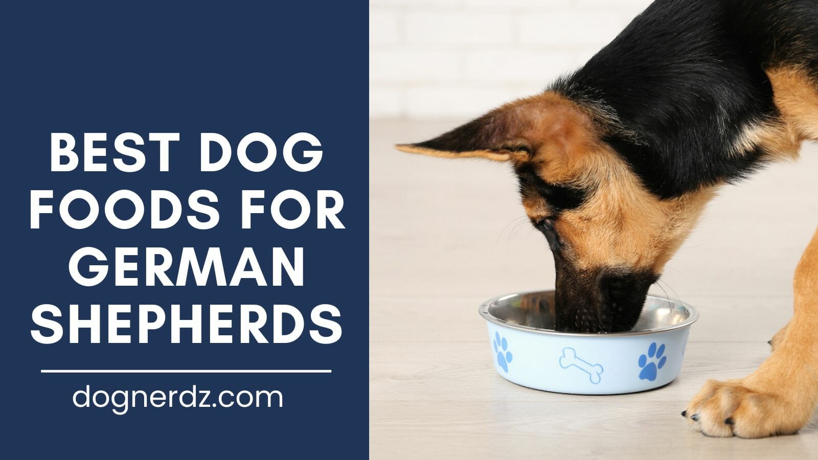 review of the best dog foods for german shepherds
