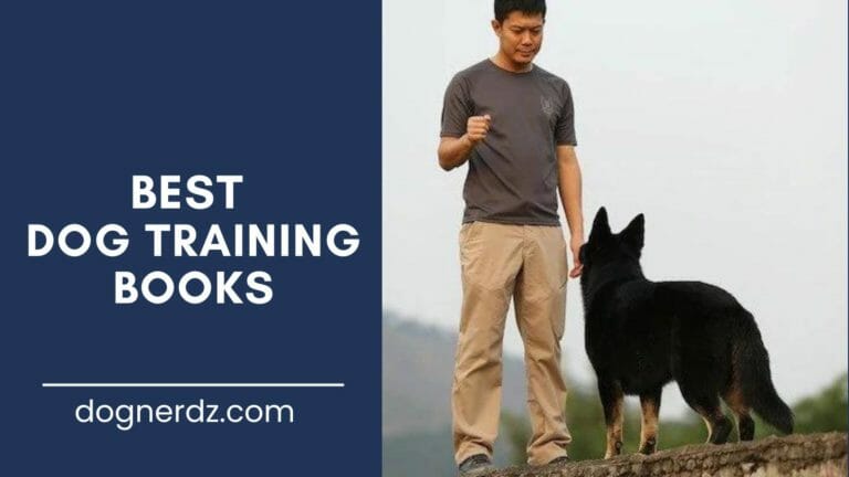 10 Best Dog Training Books in 2024