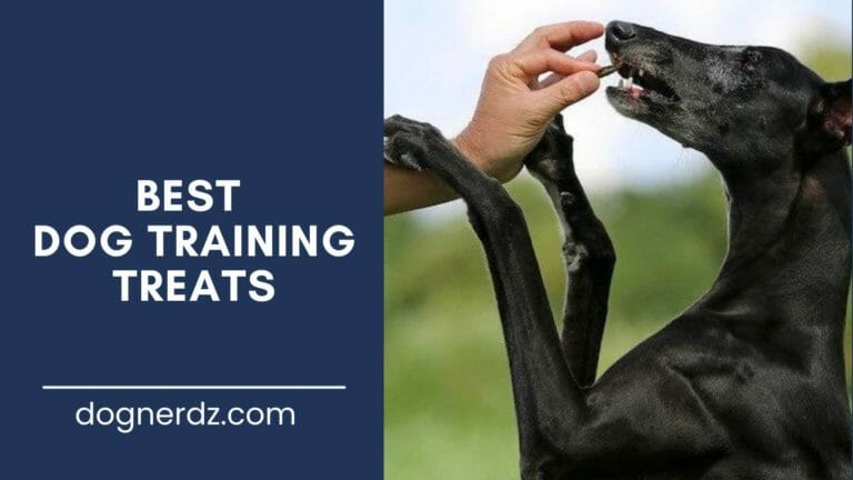 review of the best dog training treats