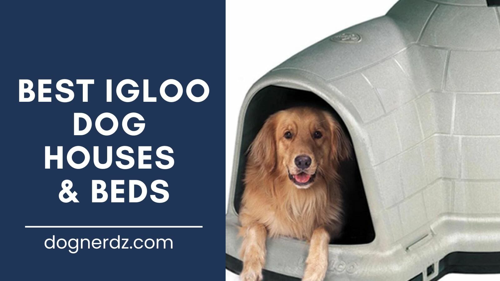 review of the best igloo dog houses & beds