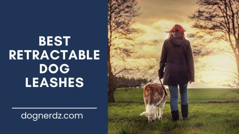 review of the best retractable dog leashes