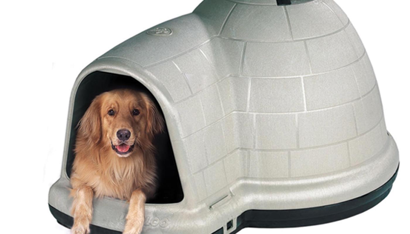 best igloo dog house review