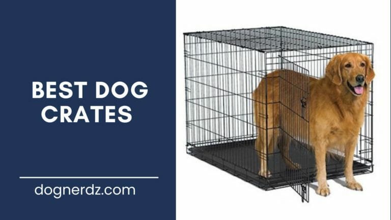 review of the best dog crates
