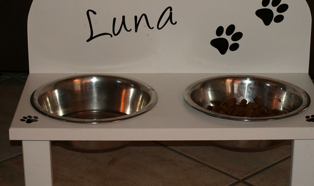 dog-water-and-feed-bowls-on-a-rack