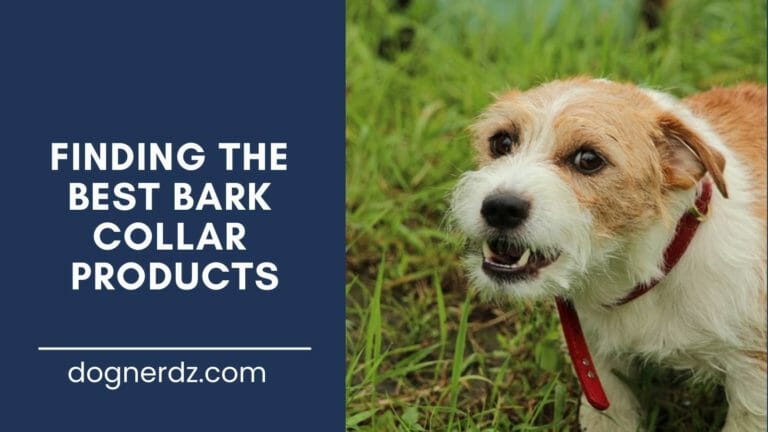 finding the best bark collar products