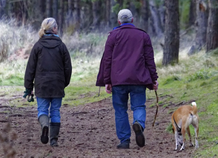 old-couple-walking-with-their-brown-dog