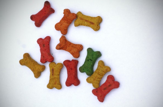 dog-biscuits-in-a-different-color