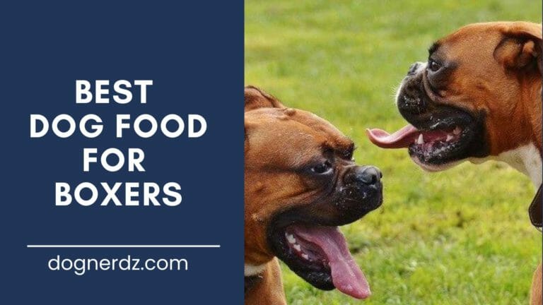 10 Best Dog Food for Boxers in 2023