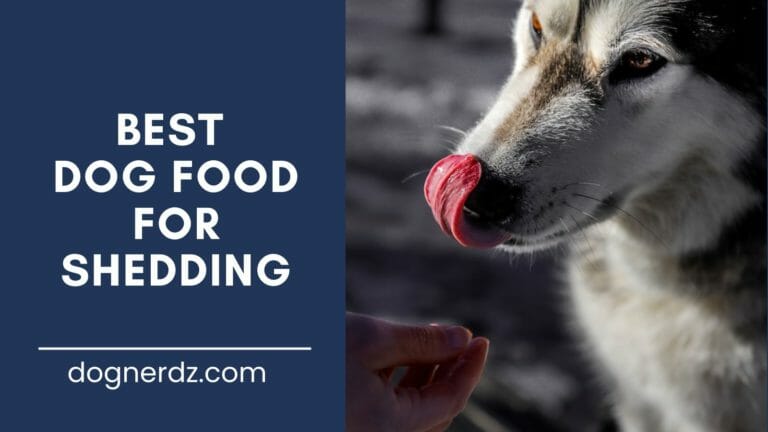 7 Best Dog Food for Shedding (2023 Updated Review)