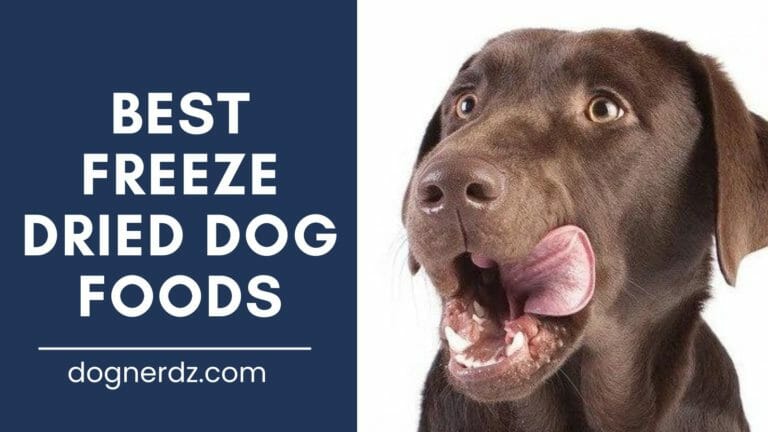 10 Best Freeze Dried Dog Foods in 2023