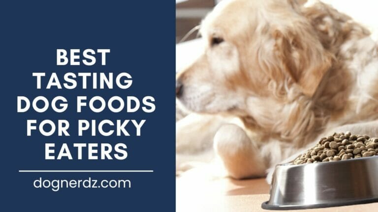 review of best tasting dog foods for picky eaters