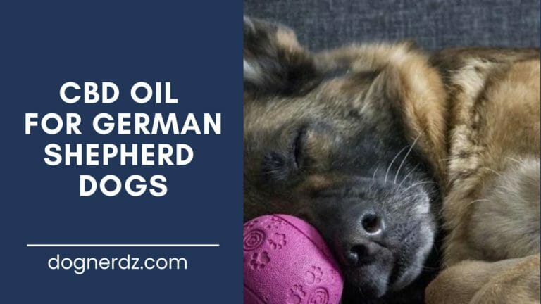 CBD Oil for German Shepherd Dogs