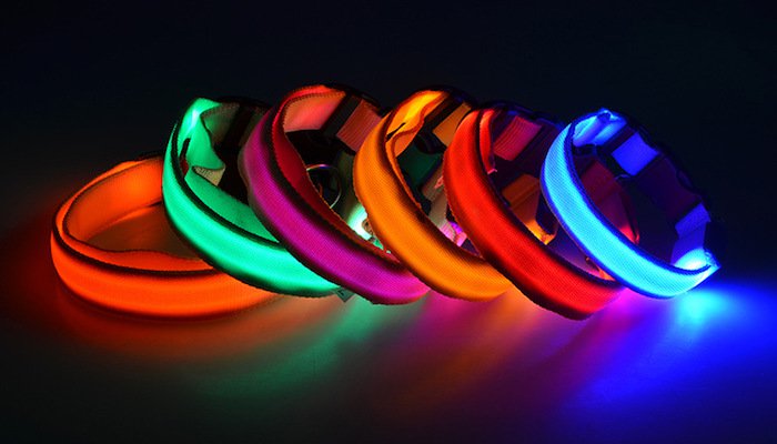 6 Best LED Dog Collars in 2022