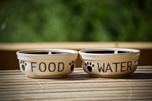 Tips to Find All-Natural Pet Food