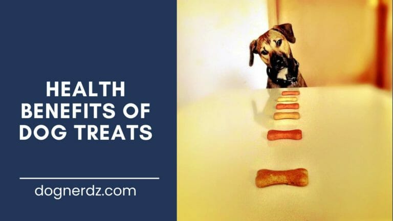 Health Benefits of Dog Treats