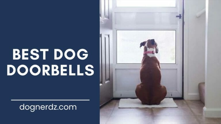 reviews of the best dog doorbells