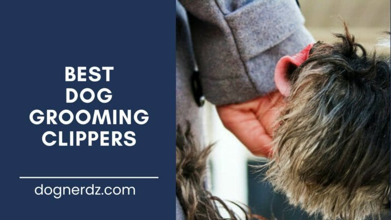 10 Best Dog Grooming Clippers in 2022
