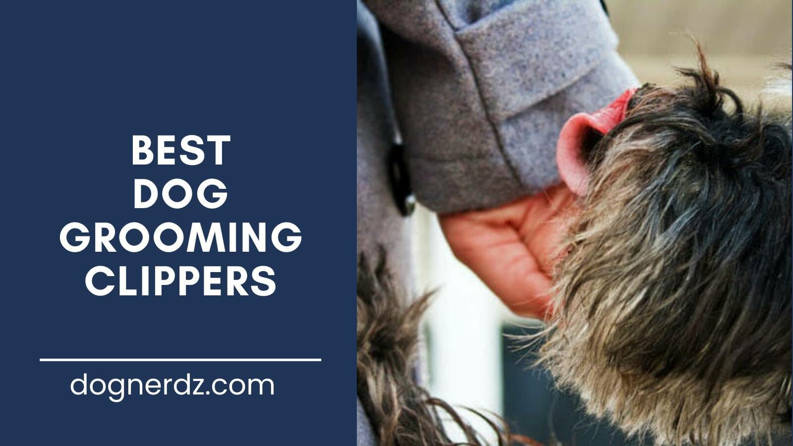 review of the best dog grooming clippers