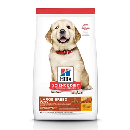 Large breed puppy food