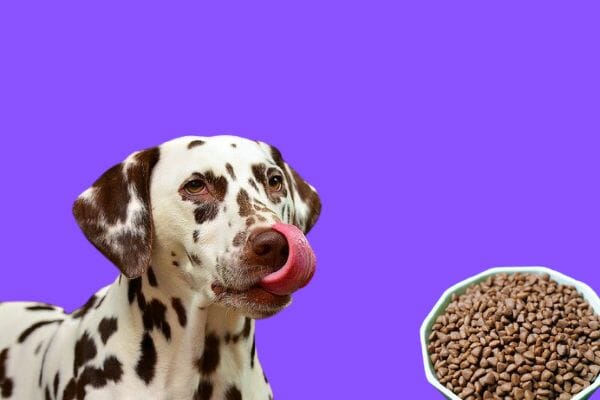 benefits of large breed dog food