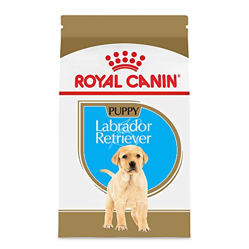 Royal Canin Breed Health Nutrition Labrador Retriever Puppy