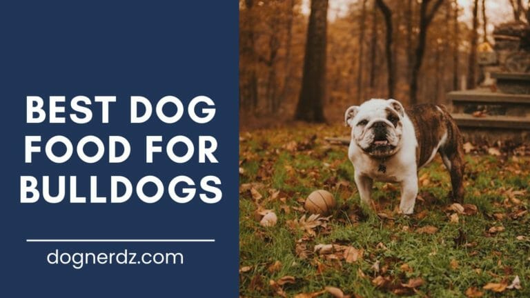 10 Best Dog Food for Bulldogs in 2022
