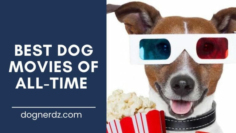 review of the best dog movies of all-time
