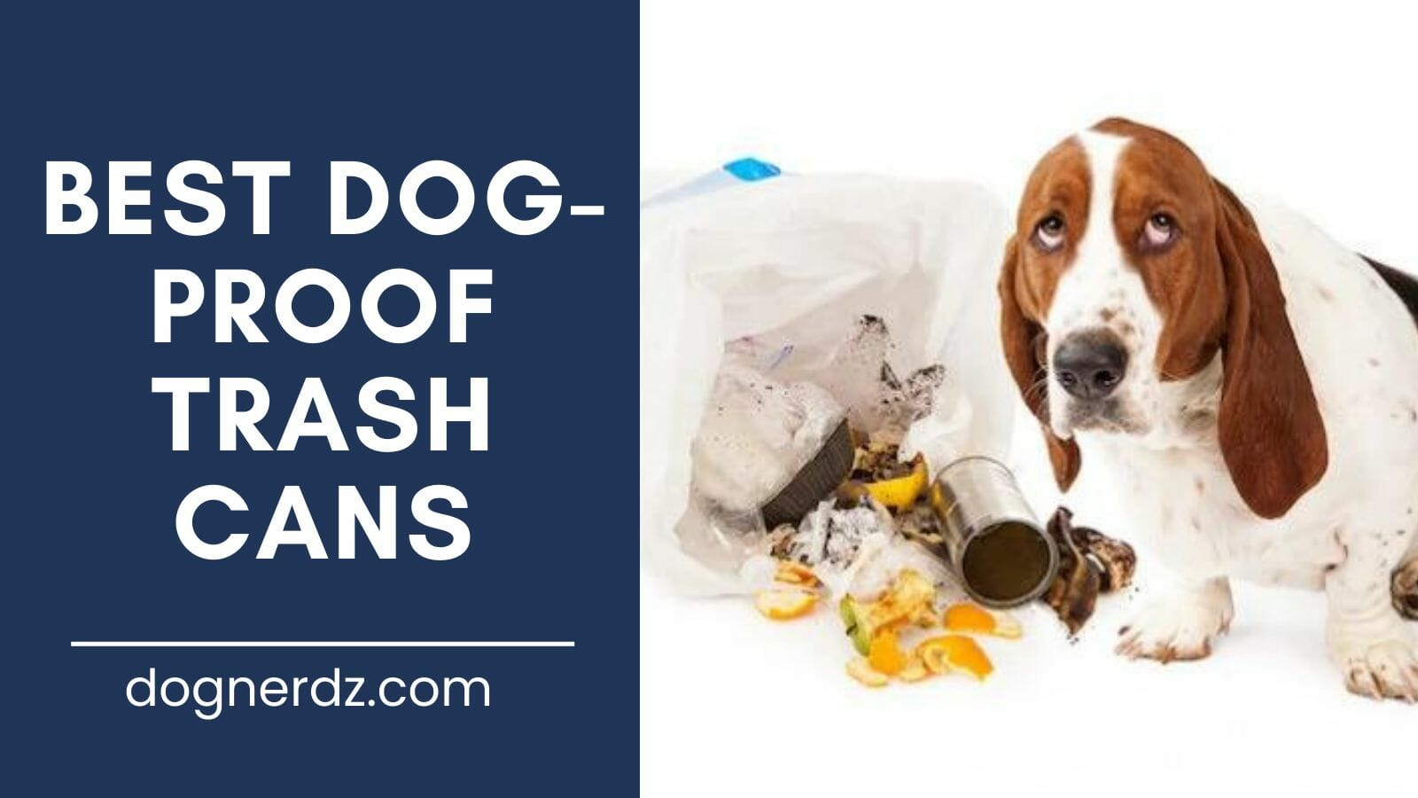 review of the best dog-proof trash cans