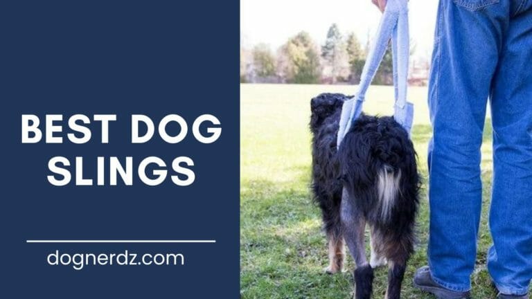review of the best dog slings