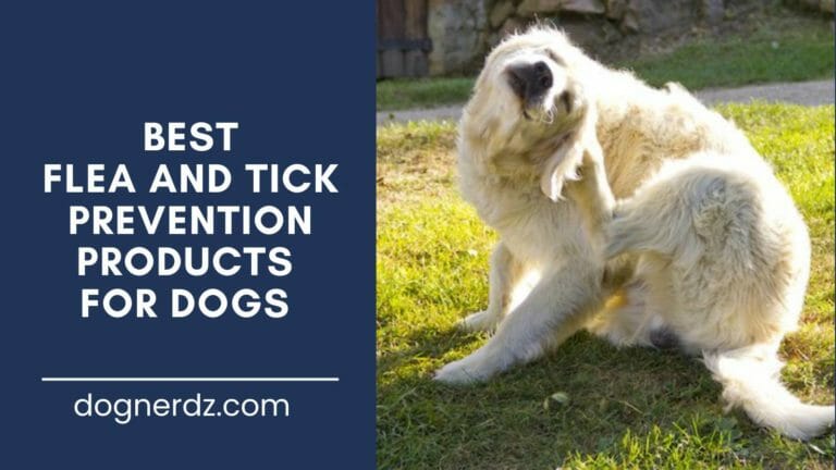 review of the best flea and tick prevention products for dogs