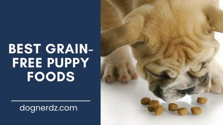 review of the best grain-free puppy foods
