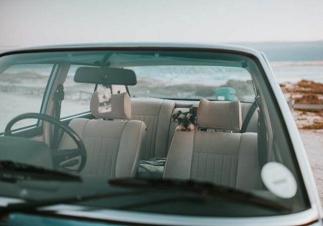 Are Dog Car Seats Safe?