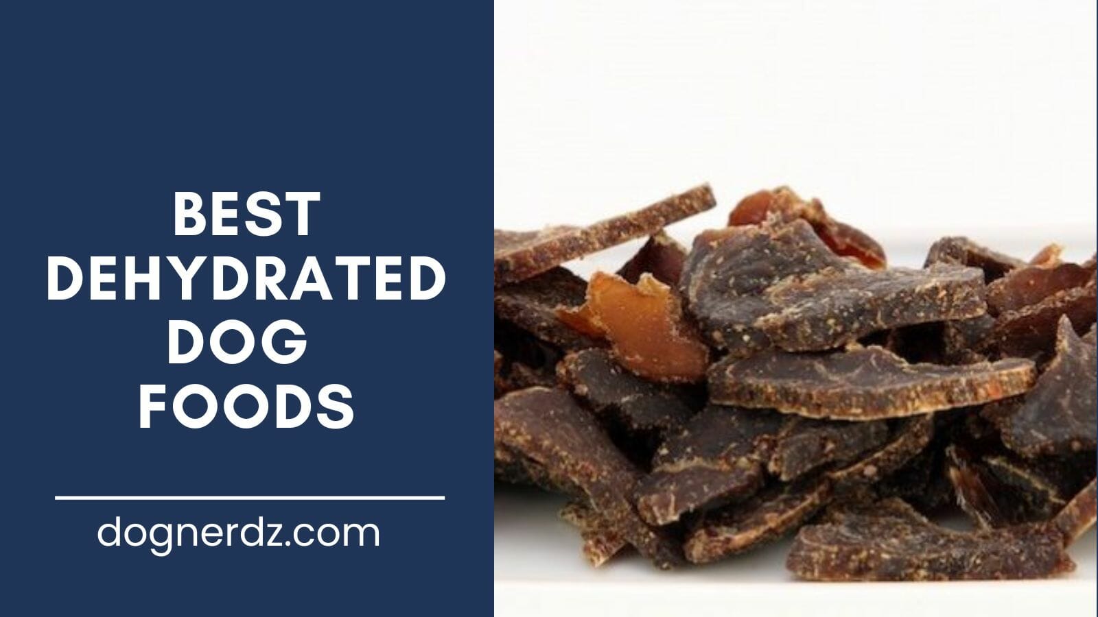 review of the best dehydrated dog foods