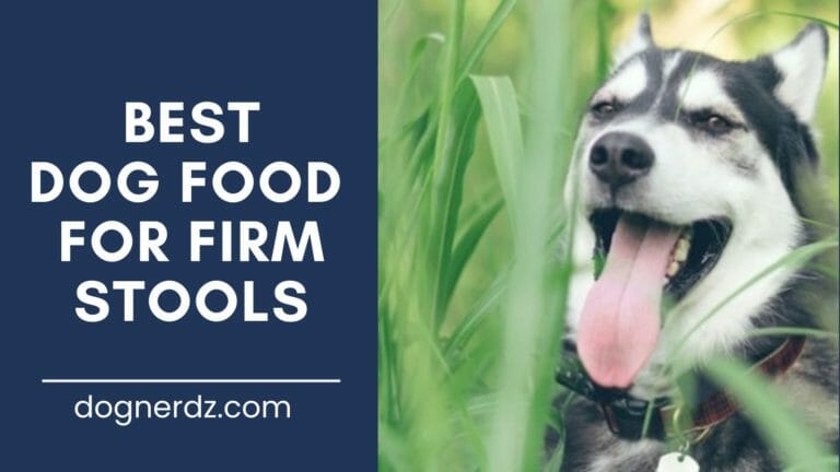 Best Dog Food For Firm Stools in 2024