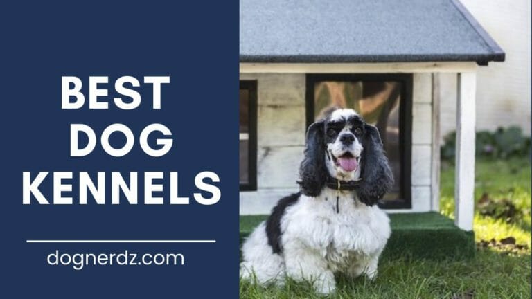 10 Best Dog Kennels in 2022