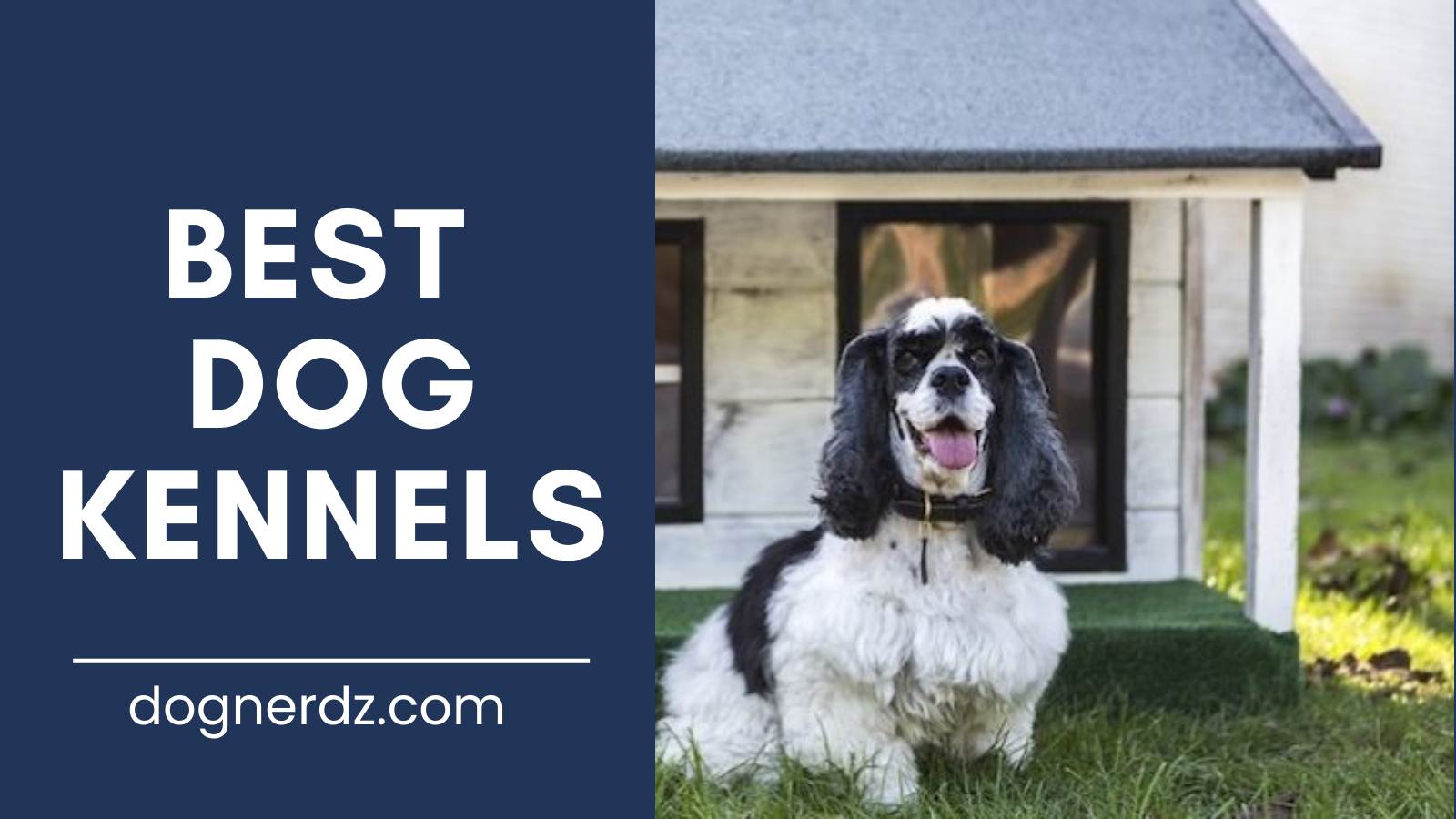 review of the best dog kennels