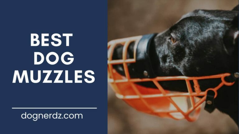review of the best dog muzzles