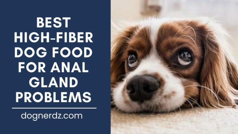 7 Best High-Fiber Dog Food For Anal Gland Problems in 2023