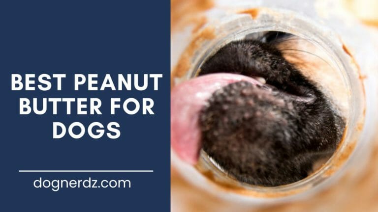 Best Peanut Butter For Dogs 2022 (Spreads & Chews)