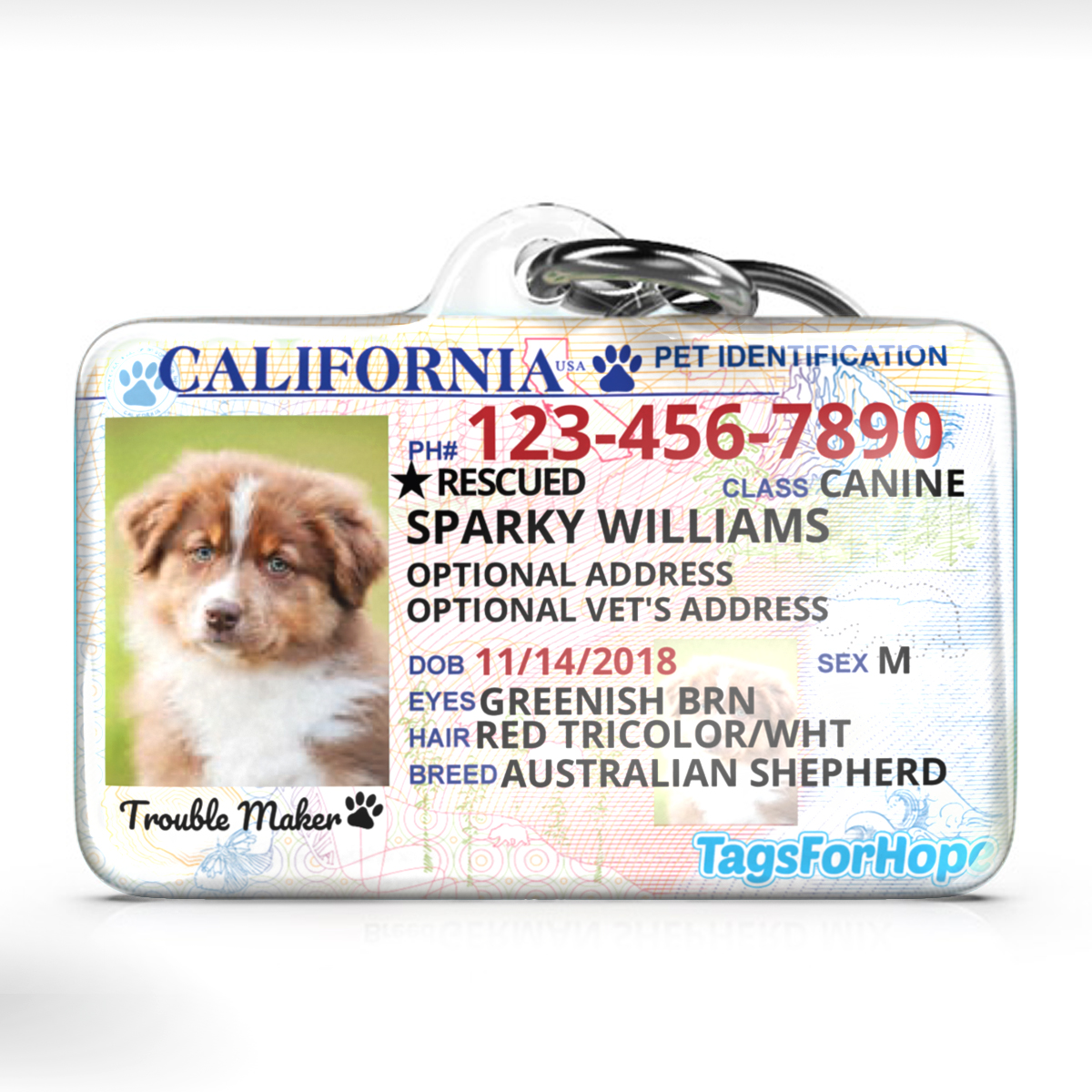 TagsForHope Dog ID Tag