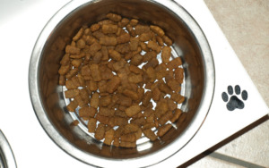 Dog food on aluminum bowl