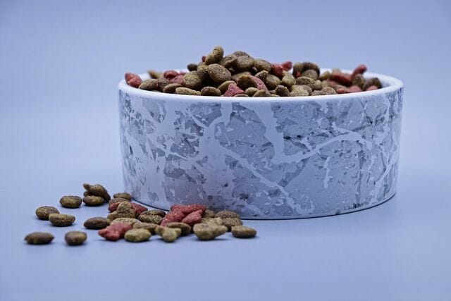 acana dog food bowl