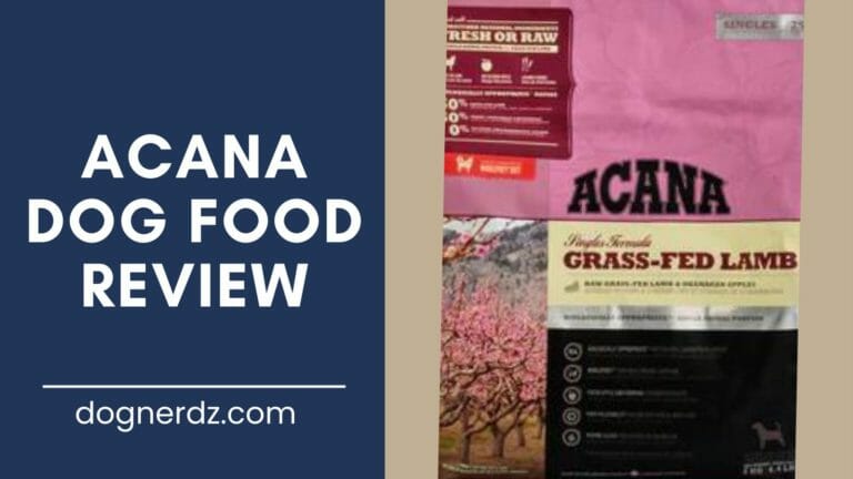 Acana Dog Food Review in 2024
